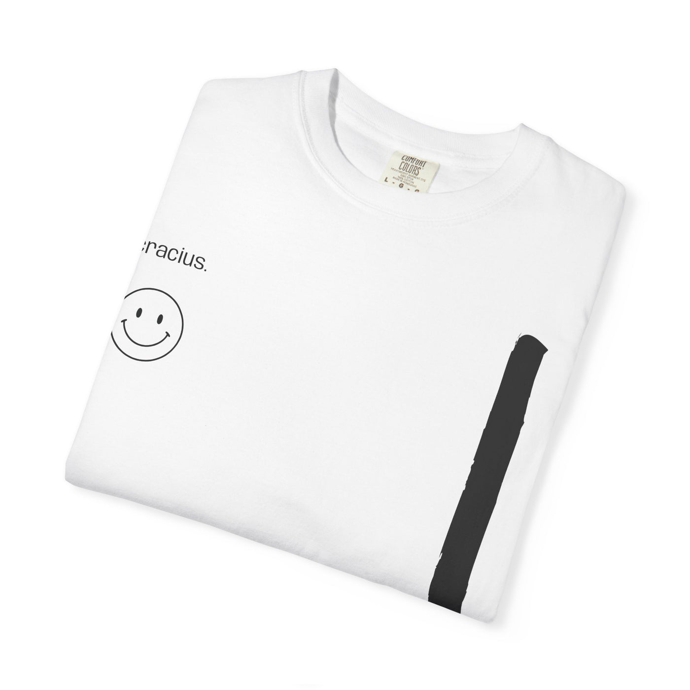 Smile & Strive Unisex T-Shirt - Motivational Graphic Tee, Gift for Graduates, Work Hard Play Hard, Casual Everyday Wear