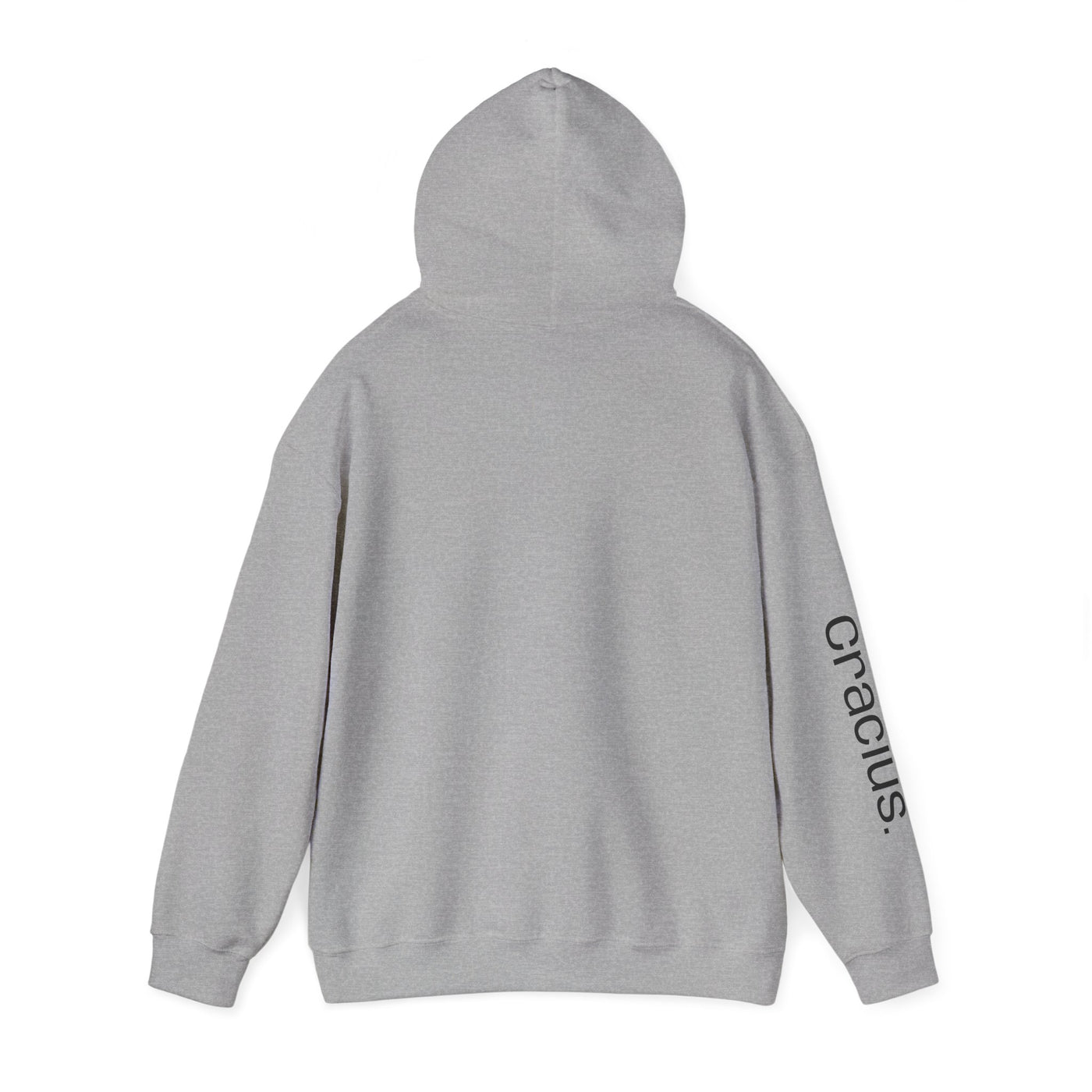 Heavy Blend Hooded Sweatshirt