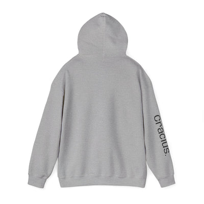 Heavy Blend Hooded Sweatshirt