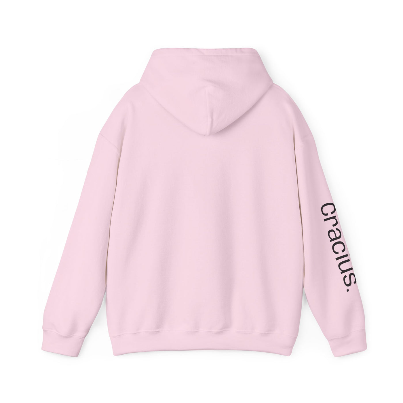 Heavy Blend Hooded Sweatshirt