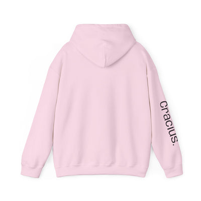 Heavy Blend Hooded Sweatshirt