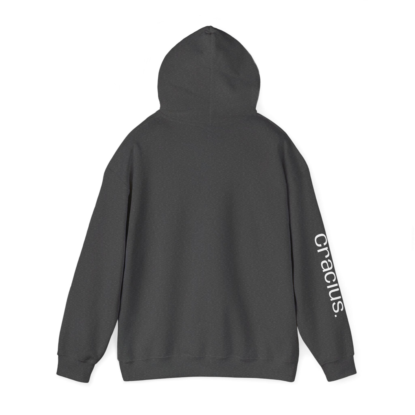 Heavy Blend Hooded Sweatshirt