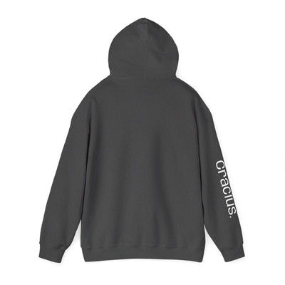 Heavy Blend Hooded Sweatshirt
