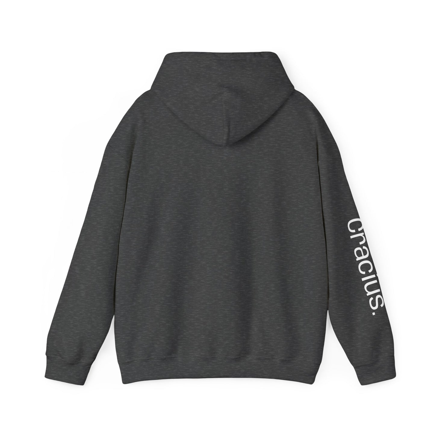 Heavy Blend Hooded Sweatshirt