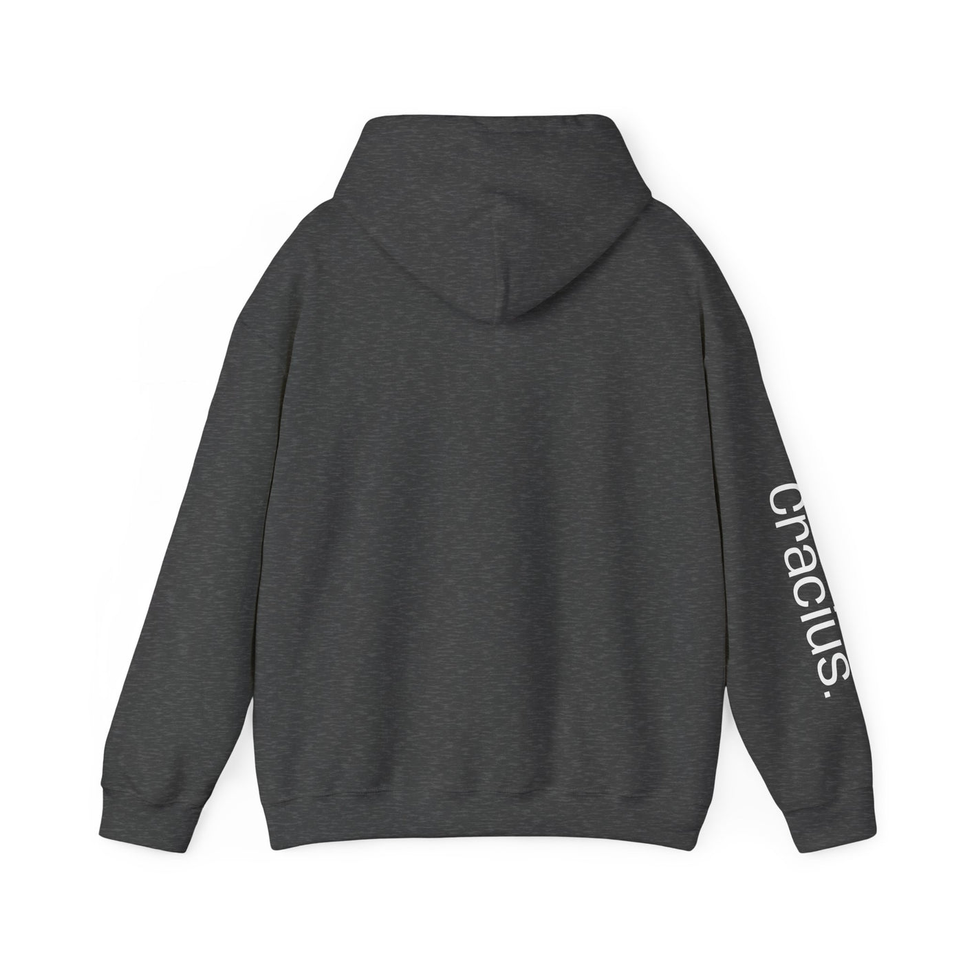 Heavy Blend Hooded Sweatshirt