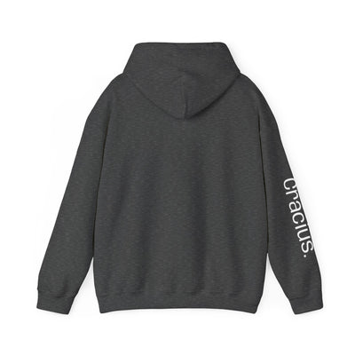 Heavy Blend Hooded Sweatshirt