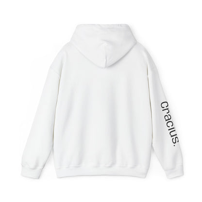 Heavy Blend Hooded Sweatshirt