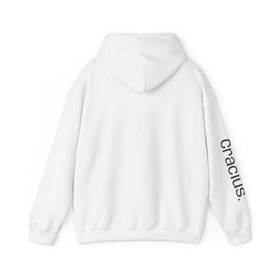 Heavy Blend Hooded Sweatshirt