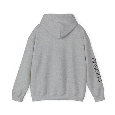 Heavy Blend Hooded Sweatshirt